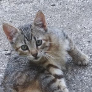 Meet your Posher, Annessa